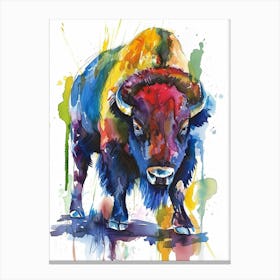 Bison Colourful Watercolour 1 Canvas Print