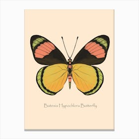 Tropical Butterfly Batesia Hypochlora Canvas Print