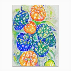 Kiwano 1 Vintage Sketch Fruit Canvas Print
