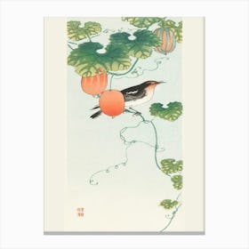 Songbird In Cucumber Plant (1925 1936), Ohara Koson Canvas Print