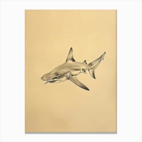 Vintage Smooth Hammerhead Shark Pencil Illustration 1 Canvas Print