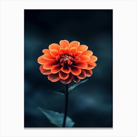 Orange Flower 27 Canvas Print