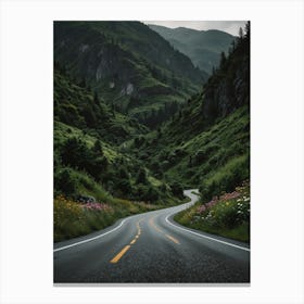 Road In The Mountains Canvas Print