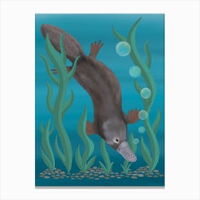 Platypus Swimming Underwater Canvas Print