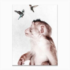 Monkey with Birds Canvas Print