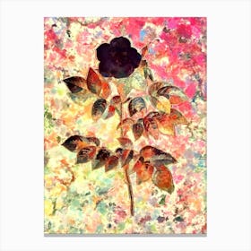 Impressionist Leschenault's Rose Botanical Painting in Blush Pink and Gold Canvas Print