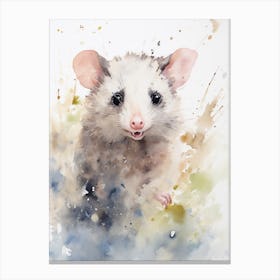 Light Watercolor Painting Of A Urban Possum 2 Canvas Print
