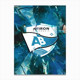 Aviron Bayonnais Fc Canvas Print