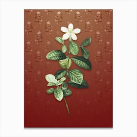 Vintage Gardenia Botanical on Falu Red Pattern n.0153 Canvas Print
