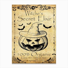 Witch Secret Elixir Canvas Print