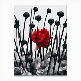 Black And Red Canvas Print