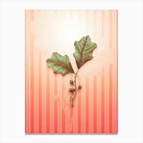 Bear Oak Leaves Vintage Botanical in Peach Fuzz Awning Stripes Pattern n.0271 Canvas Print