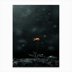 Flower In The Dark 72 Canvas Print