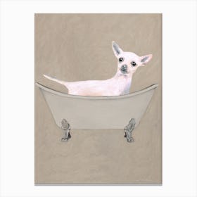 Chihuahua In Bathtub Canvas Print