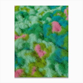 Colourful Moss Canvas Print