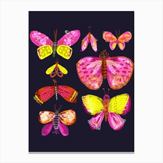 Bright Butterflies And Moths Canvas Print