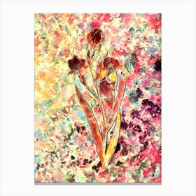 Impressionist Elder Scented Iris Botanical Painting in Blush Pink and Gold Canvas Print