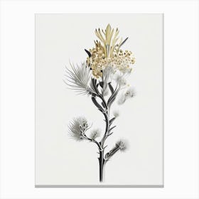 Silver Torch Joshua Tree Gold And Black (4) Canvas Print
