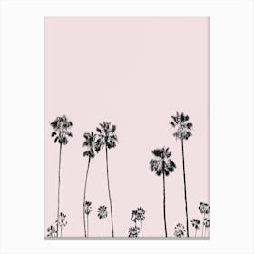 Palm Valley Blush Canvas Print