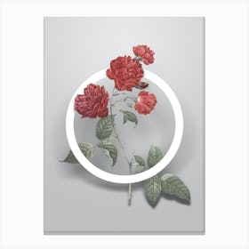 Vintage Red Cabbage Rose in Bloom Minimalist Flower Geometric Circle on Soft Gray n.0048 Canvas Print