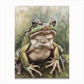 Frog Pastel Watercolour 4 Leinwandbild