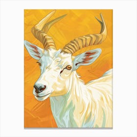 Antelope 23 Canvas Print