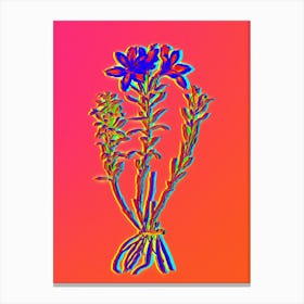 Neon Lily of the Incas Botanical in Hot Pink and Electric Blue n.0003 Canvas Print