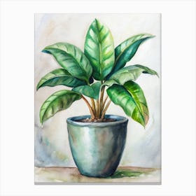 Potted Plant 1 Canvas Print