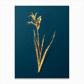 Vintage Gladiolus Cunonius Botanical in Gold on Teal Blue n.0057 Canvas Print