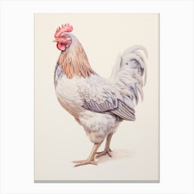 Vintage Bird Drawing Chicken 2 Canvas Print