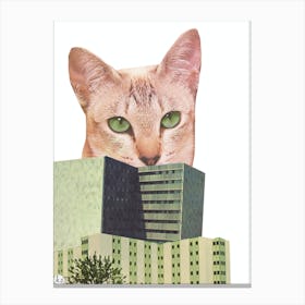 Giant City Cat Collage  Canvas Print