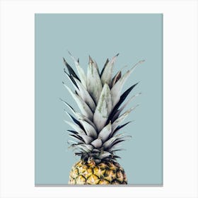 Pineapple collage 4 Canvas Print