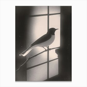 Bird In The Window 1 Canvas Print