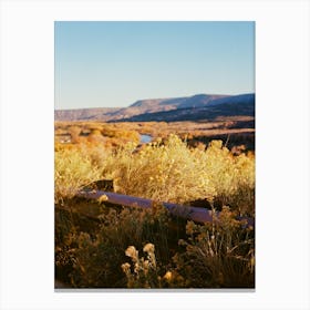 New Mexico Road Trip II on Film Canvas Print