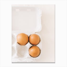 Eggs In A Carton 11 Canvas Print