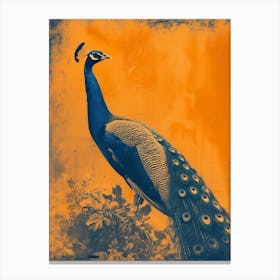 Orange & Blue Vintage Peacock In The Wild 3 Canvas Print
