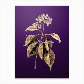 Gold Botanical Pagoda Dogwood on Royal Purple n.0131 Canvas Print