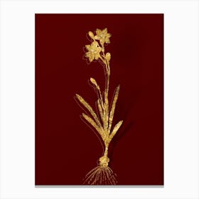 Vintage Coppertips Botanical in Gold on Red n.0176 Canvas Print