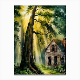 Old House In The Woods Canvas Print