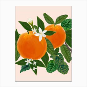 Orange And Flowers Canvas Print