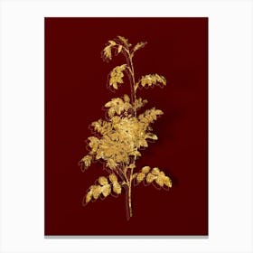 Vintage Alpine Rose Botanical in Gold on Red Canvas Print