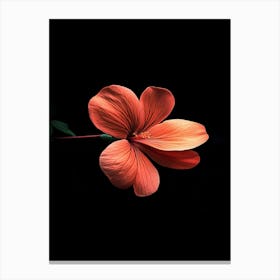 Hibiscus Flower 9 Canvas Print