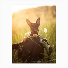 Puppy in a bag - Bissegem Belgium dog photo print - moody animal photography Canvas Print