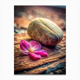 Petals And Pebbles Place A Delicate Flower Peta (2) Canvas Print