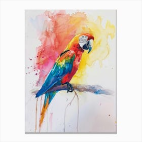 Parrot Colourful Watercolour 1 Canvas Print
