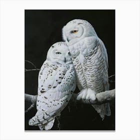 Snowy Owls 1 Canvas Print