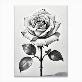 Black And White Rose Canvas Print