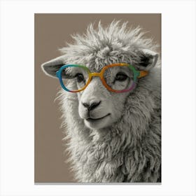 Sheep With Glasses Canvas Print