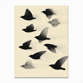 Birds In Flight 1 Canvas Print