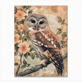 Northern Saw Whet Owl Painting 2 Canvas Print